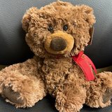 Aurora Coco Bear 10.5 inch