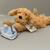 Warmies Golden Dog w/Blue Blanket